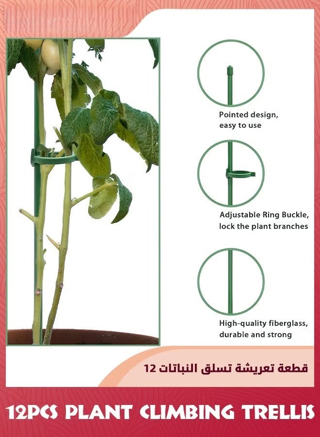 النبات تسلق التريليس,مصارف النبات الخضراء الحديقة القابلة للتعديل مصارف دعم النبات الجذع الواحد,12pcs عصا دعم النبات مع خواتم للنباتات الداخلية والخارجية,الزهور,الطماطم,12 بوصة,, - Image 3